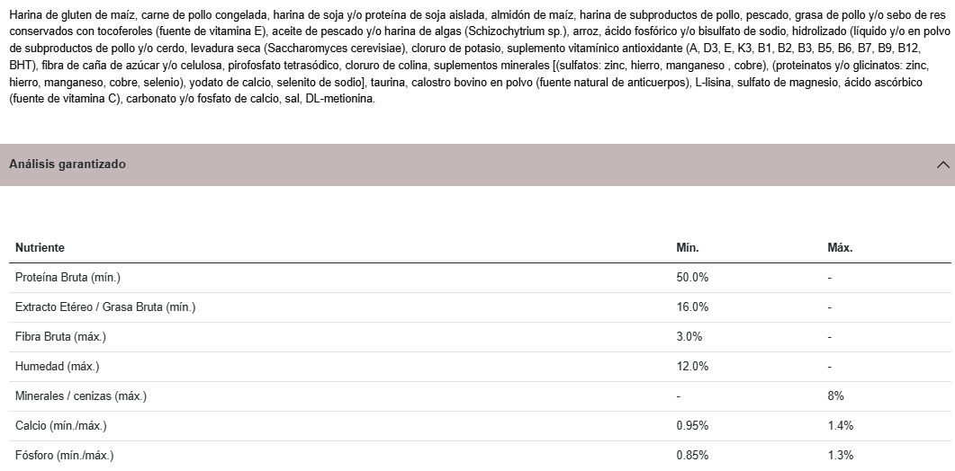 gato-gastrointestinal-mendoza
